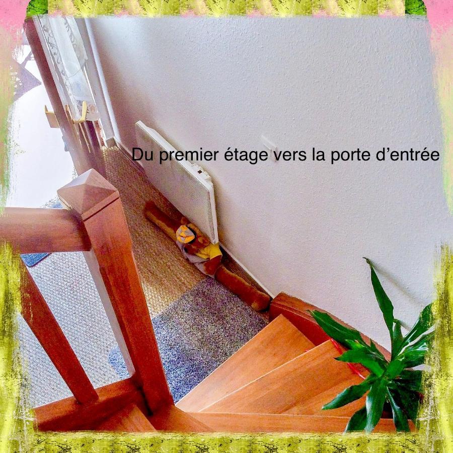 Residence Des Lentilles ستشيلتيغهيم المظهر الخارجي الصورة
